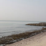 Polluted Ras Al Khaimah’s Ghaleila coastline