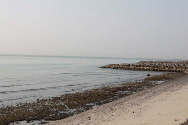 Polluted Ras Al Khaimah’s Ghaleila coastline